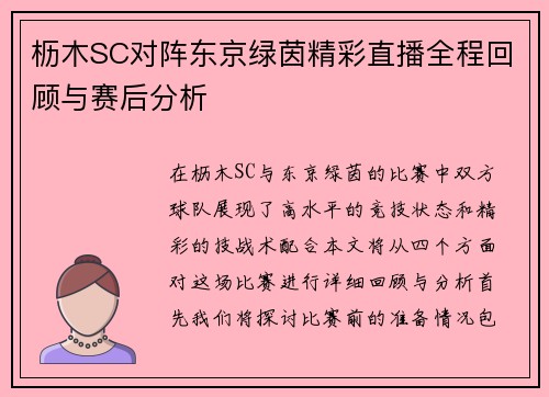 枥木SC对阵东京绿茵精彩直播全程回顾与赛后分析