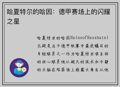 哈夏特尔的哈因：德甲赛场上的闪耀之星